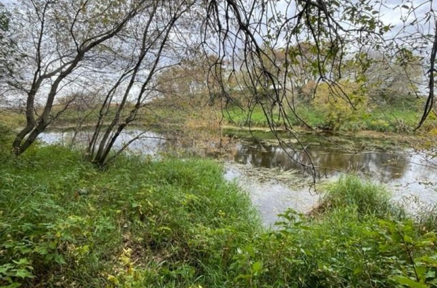 View of water feature