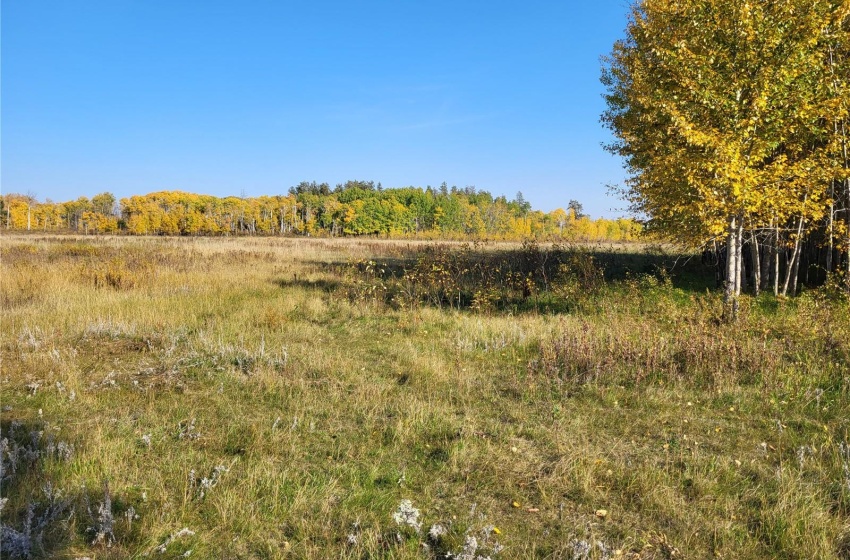 Rural Address, Buckland Rm No. 491, Saskatchewan S6V 3K8, ,Farm,For Sale,Prince Albert 159.7 acres Bison Pastureland,Rural Address,SK933542