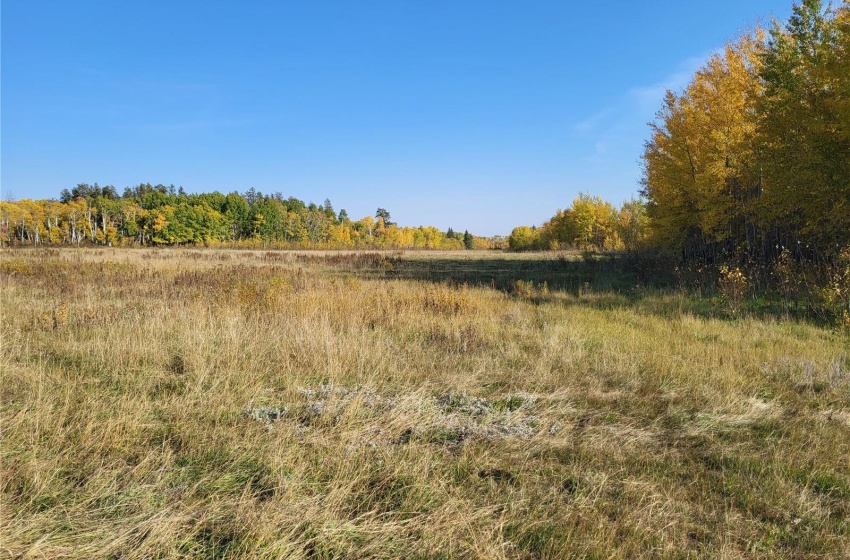 Rural Address, Buckland Rm No. 491, Saskatchewan S6V 3K8, ,Farm,For Sale,Prince Albert 159.7 acres Bison Pastureland,Rural Address,SK933542