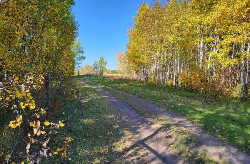 Rural Address, Buckland Rm No. 491, Saskatchewan S6V 3K8, ,Farm,For Sale,Prince Albert 159.7 acres Bison Pastureland,Rural Address,SK933542