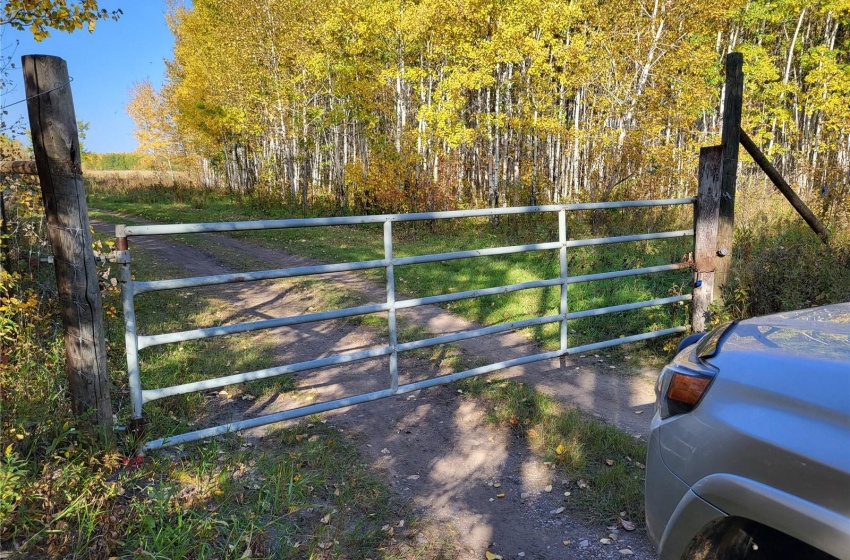 Rural Address, Buckland Rm No. 491, Saskatchewan S6V 3K8, ,Farm,For Sale,Prince Albert 159.7 acres Bison Pastureland,Rural Address,SK933542