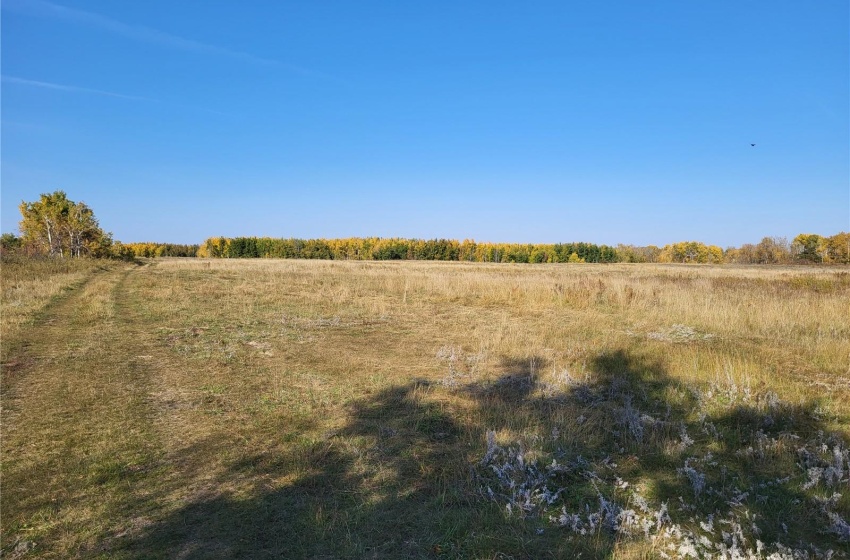 Rural Address, Buckland Rm No. 491, Saskatchewan S6V 3K8, ,Farm,For Sale,Prince Albert 159.7 acres Bison Pastureland,Rural Address,SK933542