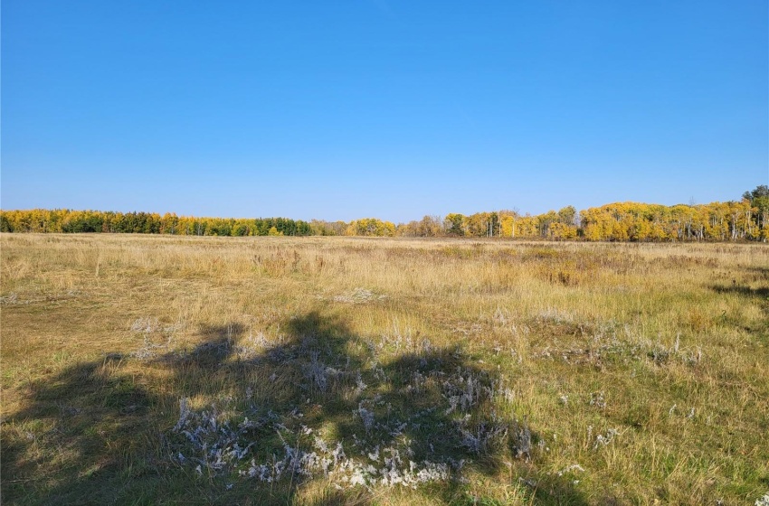 Rural Address, Buckland Rm No. 491, Saskatchewan S6V 3K8, ,Farm,For Sale,Prince Albert 159.7 acres Bison Pastureland,Rural Address,SK933542