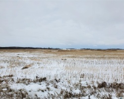 Rural Address, Wallace Rm No. 243, Saskatchewan S0A 3R0, ,Farm,For Sale,Grain Land - RM of Wallace #243,Rural Address,SK949846