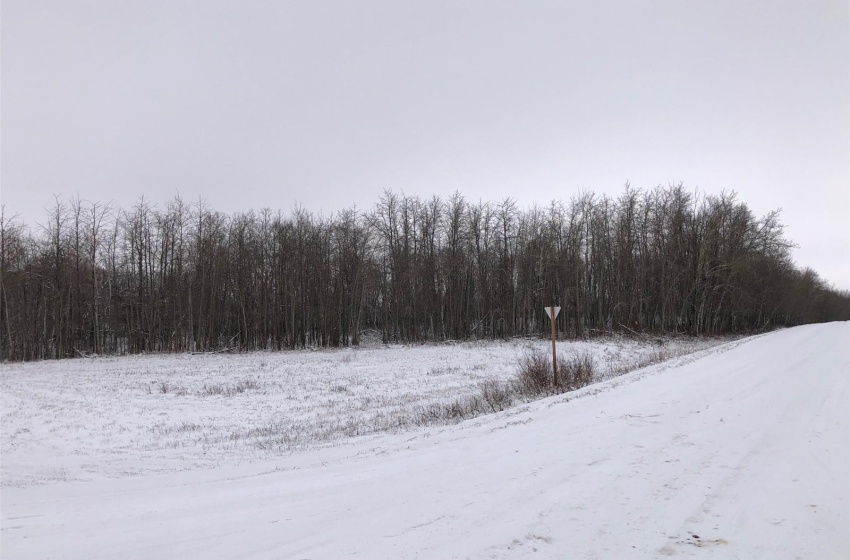 View of road