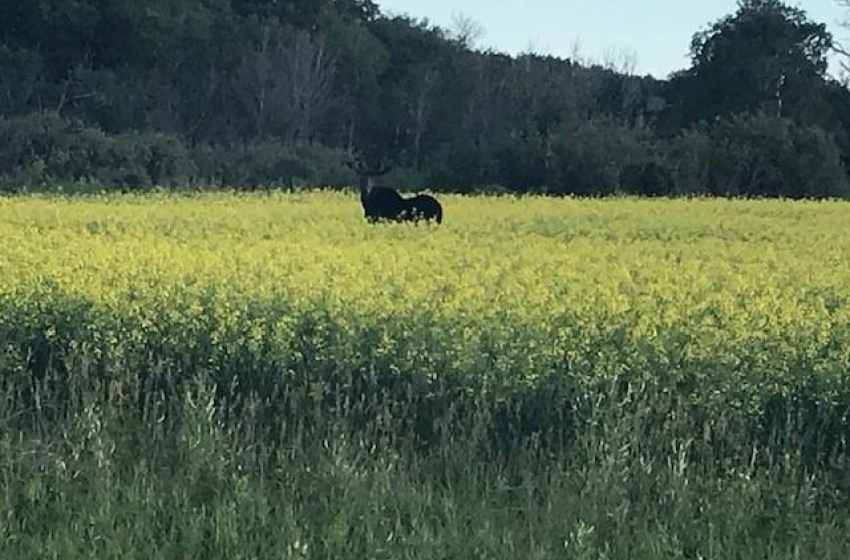 View of nature with a rural view