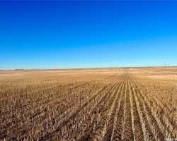 Rural Address, Marriott Rm No. 317, Saskatchewan S0L 0E8, ,Farm,For Sale,Harris 2,388 acres Grain Farmland,Rural Address,SK956301