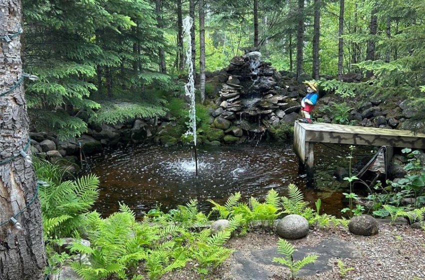 pond with fountain