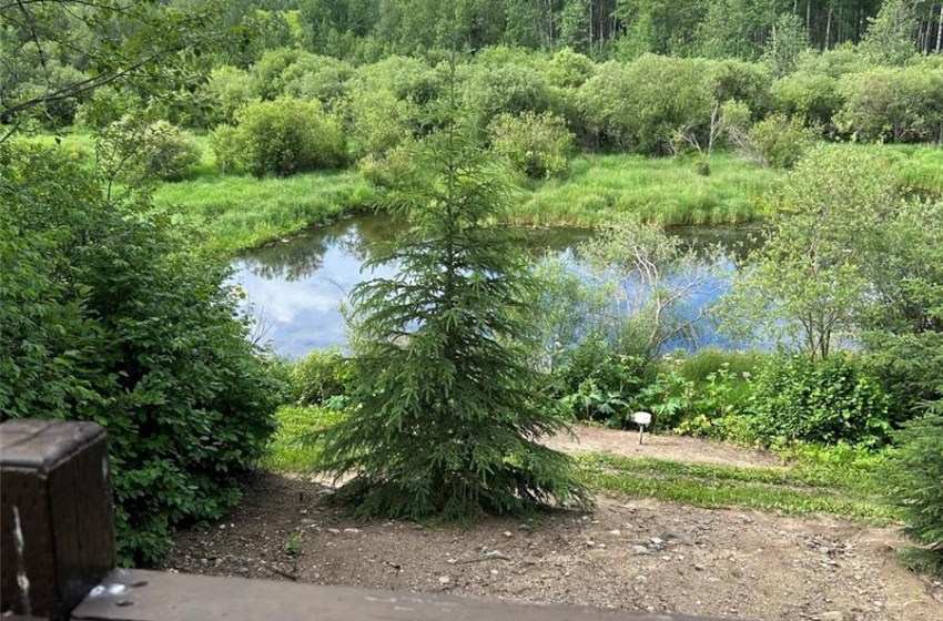 view from one of the cabins