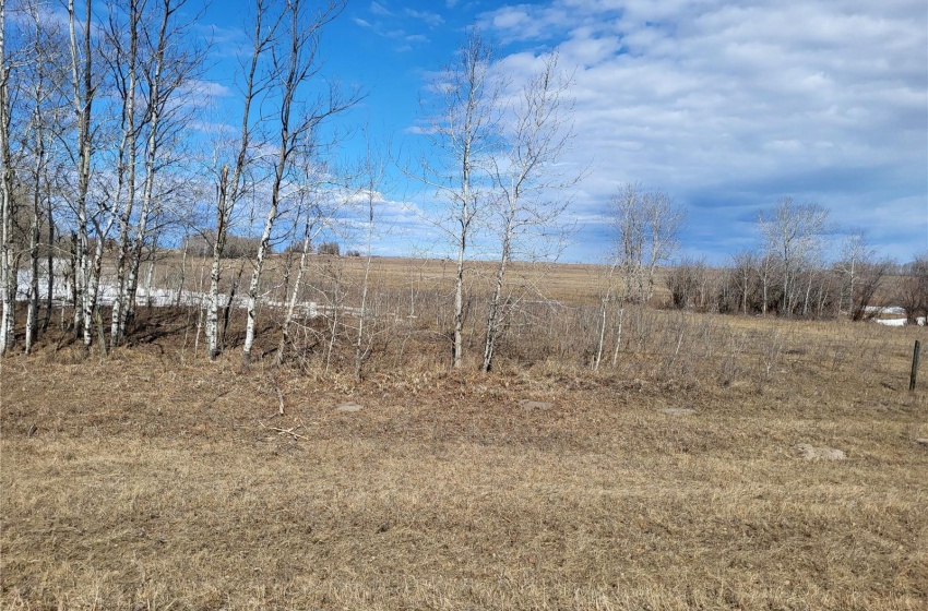 Rural Address, Great Bend Rm No. 405, Saskatchewan S0K 3L0, ,Farm,For Sale,Radisson 158 acres Pastureland (Que),Rural Address,SK965878