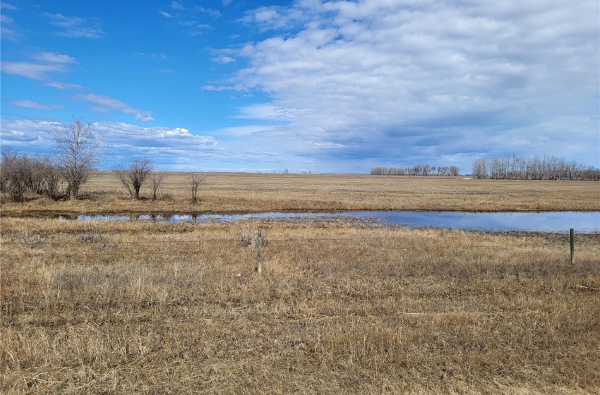 Rural Address, Great Bend Rm No. 405, Saskatchewan S0K 3L0, ,Farm,For Sale,Radisson 158 acres Pastureland (Que),Rural Address,SK965878