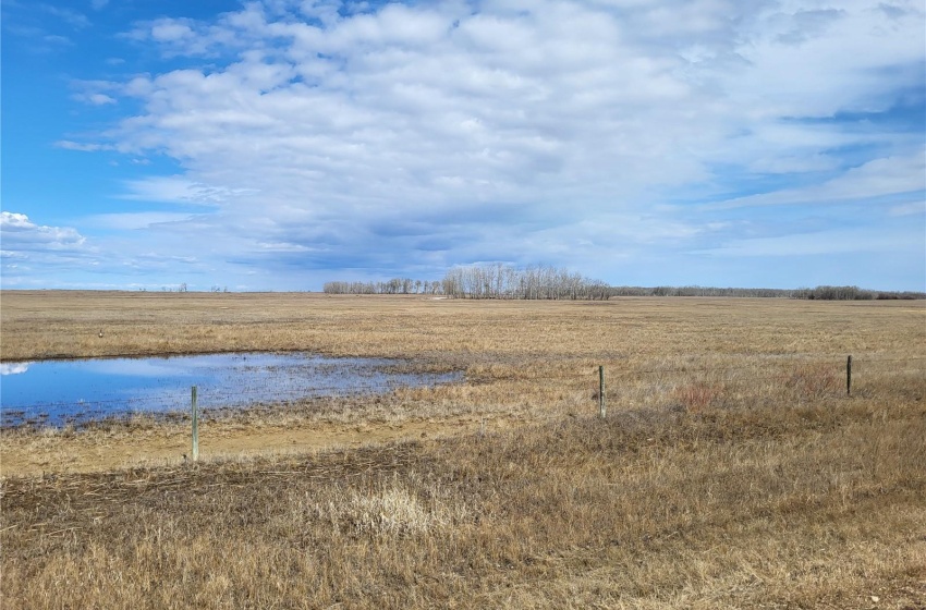 Rural Address, Great Bend Rm No. 405, Saskatchewan S0K 3L0, ,Farm,For Sale,Radisson 158 acres Pastureland (Que),Rural Address,SK965878