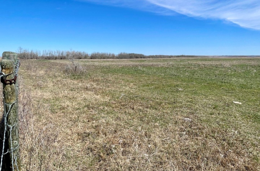 Rural Address, Glenside Rm No. 377, Saskatchewan S0M 1T0, ,Farm,For Sale,RM of Glenside 154 Acres (Park Road),Rural Address,SK966208