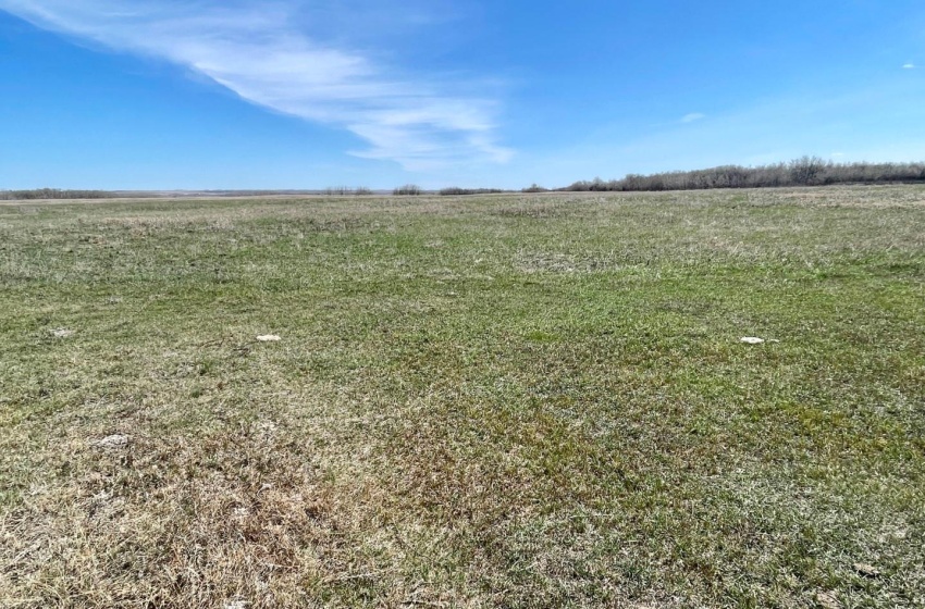 Rural Address, Glenside Rm No. 377, Saskatchewan S0M 1T0, ,Farm,For Sale,RM of Glenside 154 Acres (Park Road),Rural Address,SK966208