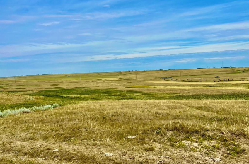 Rural Address, Swift Current, Saskatchewan S9H 4L7, ,Farm,For Sale,Swift Current Pastureland (NW),Rural Address,SK968426