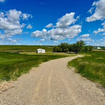 Rural Address, Swift Current, Saskatchewan S9H 4L7, ,Farm,For Sale,Swift Current Pastureland (NE),Rural Address,SK968429