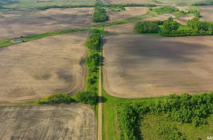 Rural Address, Orkney Rm No. 244, Saskatchewan S0A 4P0, ,Farm,For Sale,1/2 Section RM of Orkney,Rural Address,SK968550