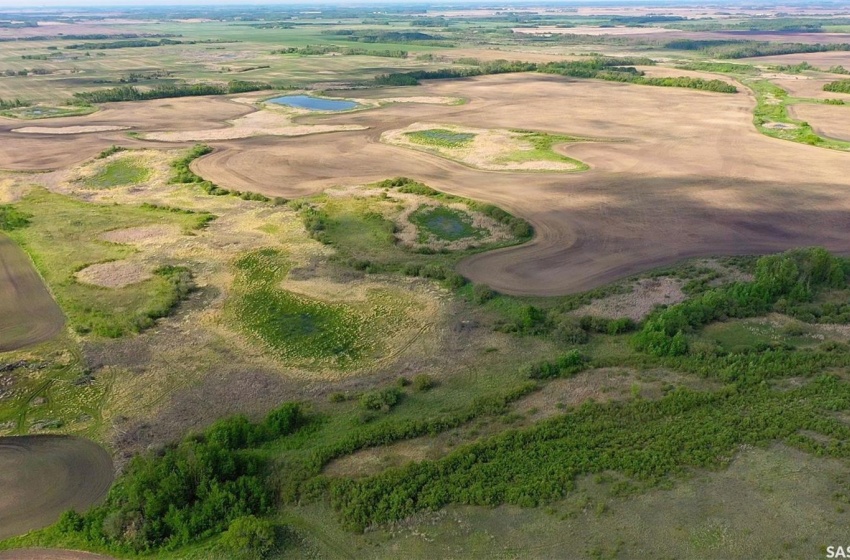 Rural Address, Orkney Rm No. 244, Saskatchewan S0A 4P0, ,Farm,For Sale,1/2 Section RM of Orkney,Rural Address,SK968550