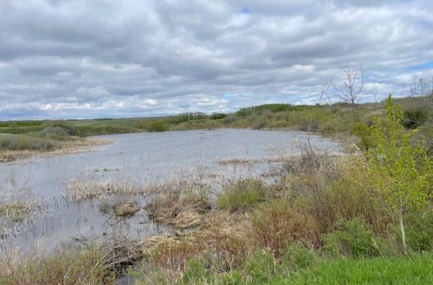 Pasture land water