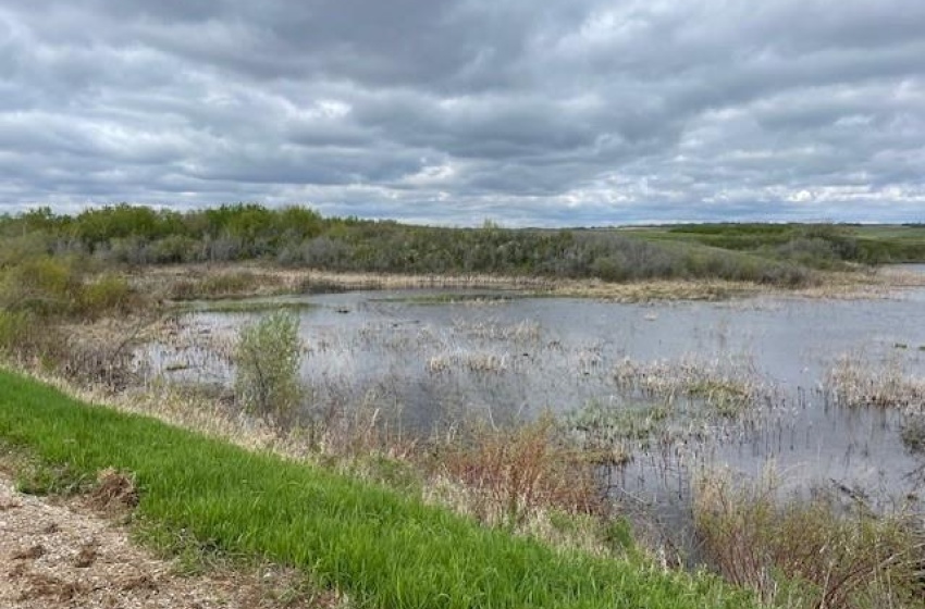 Pasture land water