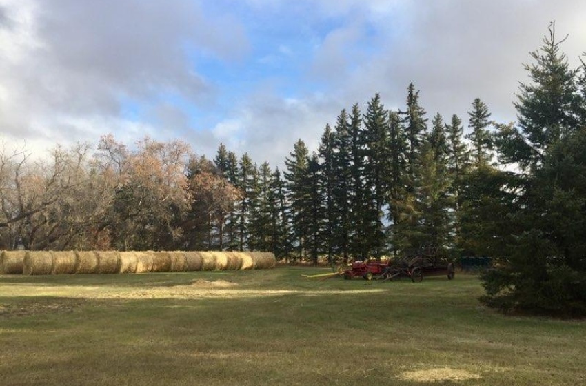 Rural Address, Buffalo Rm No. 409, Saskatchewan S0K 4W0, 5 Bedrooms Bedrooms, 15 Rooms Rooms,2 BathroomsBathrooms,Acreage,For Sale,Phippen Acreage,Rural Address,SK988826