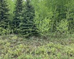 Rural Address, Clayton Rm No. 333, Saskatchewan S0A 4A0, ,Farm,For Sale,Ball Farm,Rural Address,SK971038