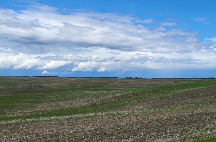 Rural Address, Great Bend Rm No. 405, Saskatchewan S0J 0S0, ,Farm,For Sale,Debden 160 acres Grain Farmland,Rural Address,SK971462