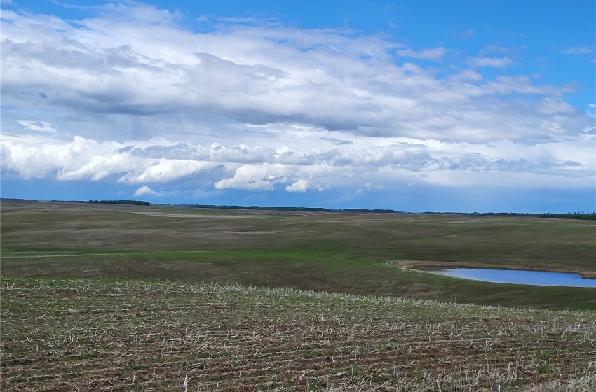 Rural Address, Great Bend Rm No. 405, Saskatchewan S0J 0S0, ,Farm,For Sale,Debden 160 acres Grain Farmland,Rural Address,SK971462