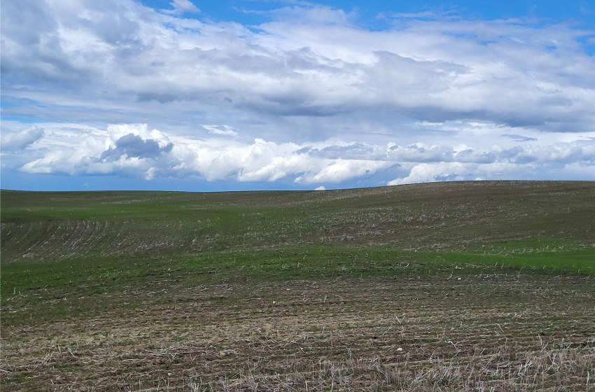 Rural Address, Great Bend Rm No. 405, Saskatchewan S0J 0S0, ,Farm,For Sale,Debden 160 acres Grain Farmland,Rural Address,SK971462