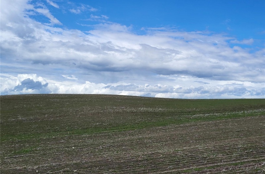 Rural Address, Great Bend Rm No. 405, Saskatchewan S0J 0S0, ,Farm,For Sale,Debden 160 acres Grain Farmland,Rural Address,SK971462