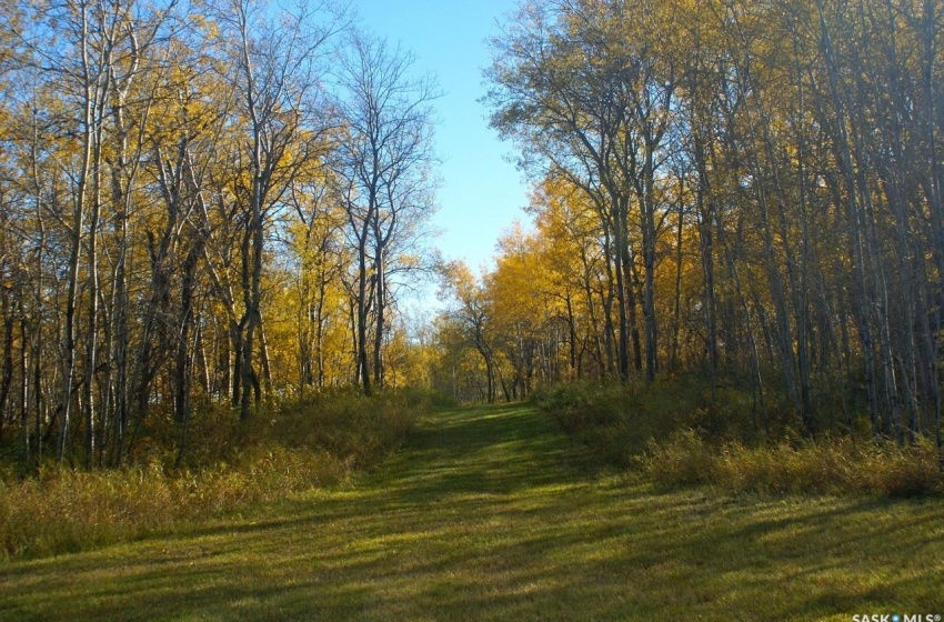 View of landscape