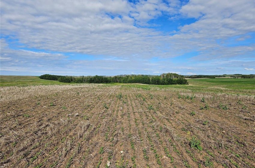 Rural Address, Douglas Rm No. 436, Saskatchewan S0M 2P0, ,Farm,For Sale,RM Douglas Land,Rural Address,SK974289