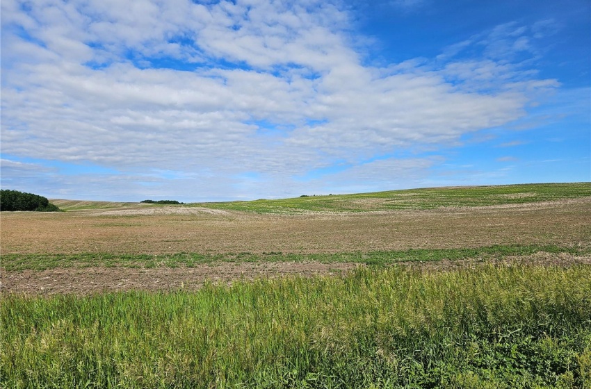 Rural Address, Douglas Rm No. 436, Saskatchewan S0M 2P0, ,Farm,For Sale,RM Douglas Land,Rural Address,SK974289