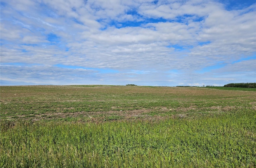 Rural Address, Douglas Rm No. 436, Saskatchewan S0M 2P0, ,Farm,For Sale,RM Douglas Land,Rural Address,SK974289