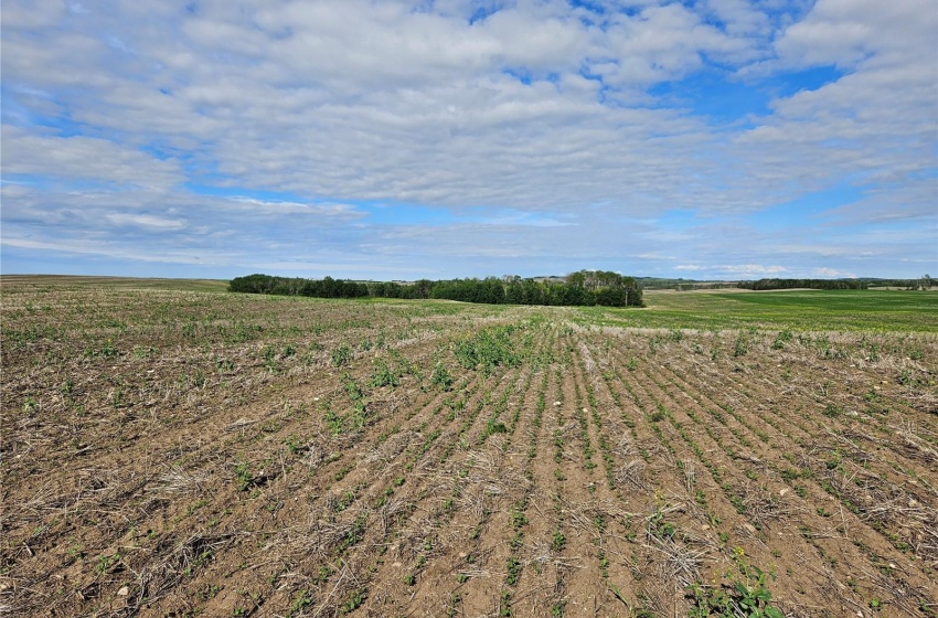 Rural Address, Douglas Rm No. 436, Saskatchewan S0M 2P0, ,Farm,For Sale,RM Douglas Land,Rural Address,SK974289