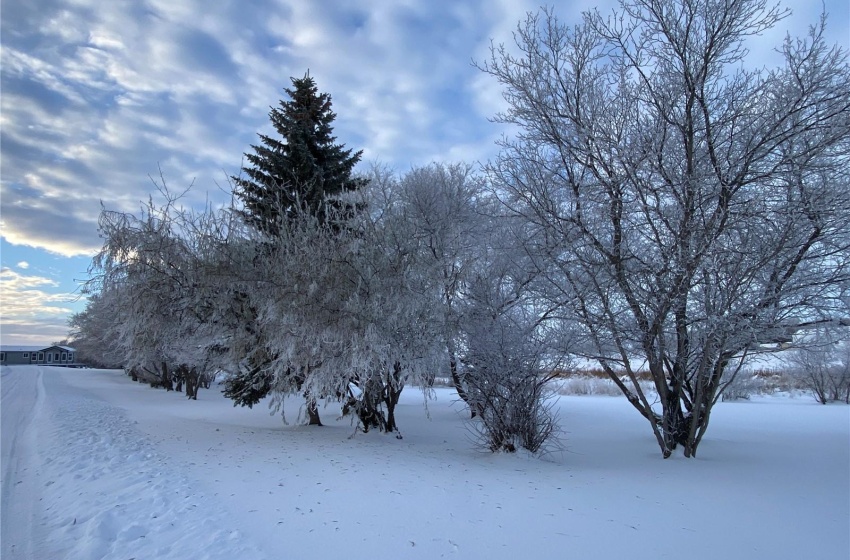 313 Elizabeth STREET, Stockholm, Saskatchewan S0A 3Y0, 3 Bedrooms Bedrooms, 10 Rooms Rooms,2 BathroomsBathrooms,Acreage,For Sale,Elizabeth,SK989062