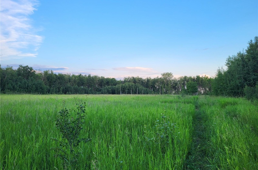 Rural Address, Spiritwood Rm No. 496, Saskatchewan S0J 1V0, ,Farm,For Sale,Mildred 39 acres Pastureland,Rural Address,SK974491