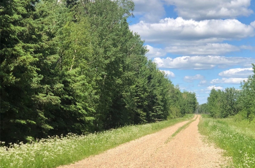 View of road