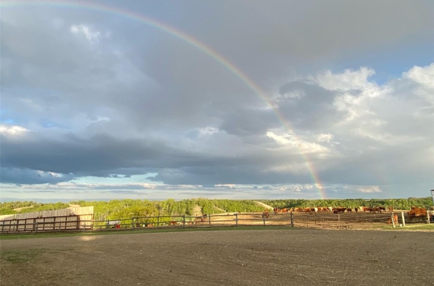 View of yard with a rural view