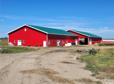 Rural Address, Eldon Rm No. 471, Saskatchewan S0M 1M0, 4 Bedrooms Bedrooms, ,1 BathroomBathrooms,Farm,For Sale,Maidstone 241 acres Hay and Dairy Farm,Rural Address,SK976223