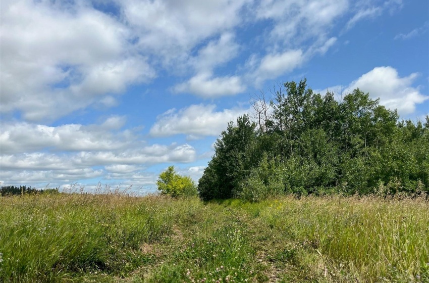 Rural Address, Invergordon Rm No. 430, Saskatchewan S0K 1A0, ,Farm,For Sale,Crystal Springs 54.3 acres (Lakefront),Rural Address,SK976466