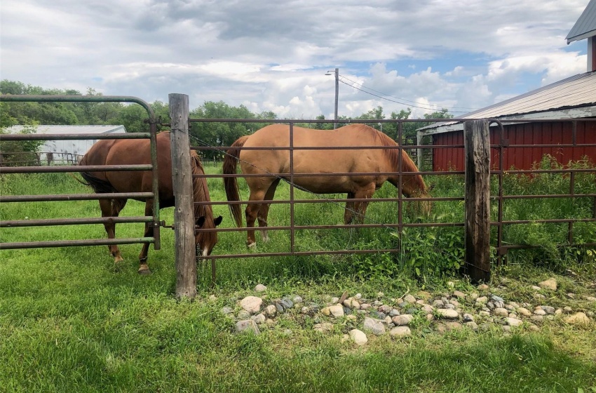 Rural Address, St. Philips RM No. 301, Saskatchewan S0A 2Z0, 3 Bedrooms Bedrooms, ,2 BathroomsBathrooms,Farm,For Sale,Vogel Farm,Rural Address,SK978357