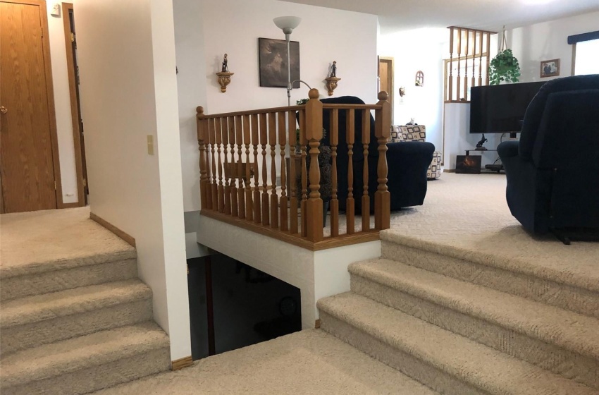 Stairway with carpet