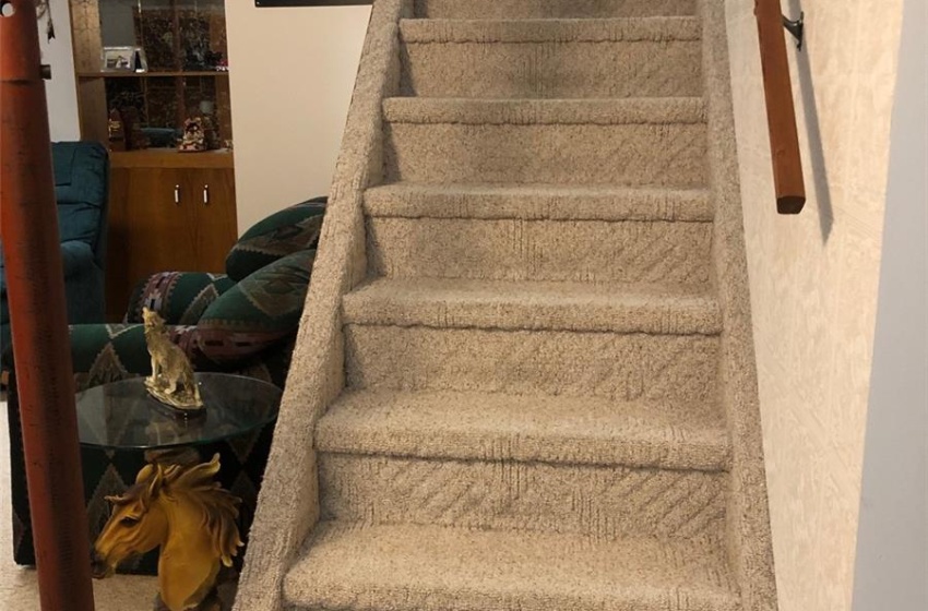 Staircase featuring carpet floors