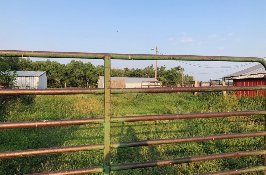 View of yard featuring a shed