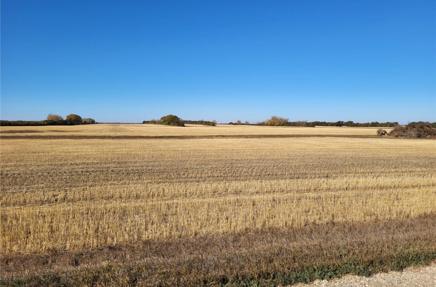 Rural Address, Perdue Rm No. 346, Saskatchewan S0K 3G0, ,Farm,For Sale,Kinley 1,031 acres Grain Farmland,Rural Address,SK989132