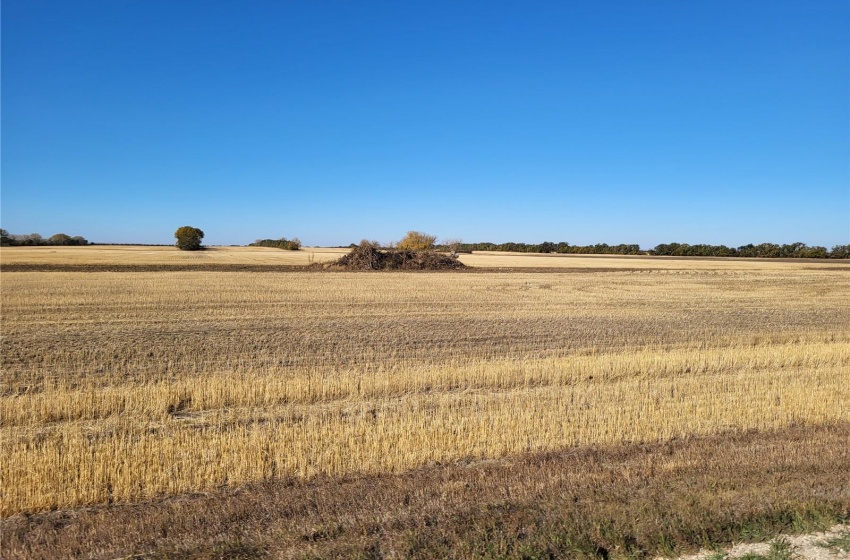 Rural Address, Perdue Rm No. 346, Saskatchewan S0K 3G0, ,Farm,For Sale,Kinley 1,031 acres Grain Farmland,Rural Address,SK989132