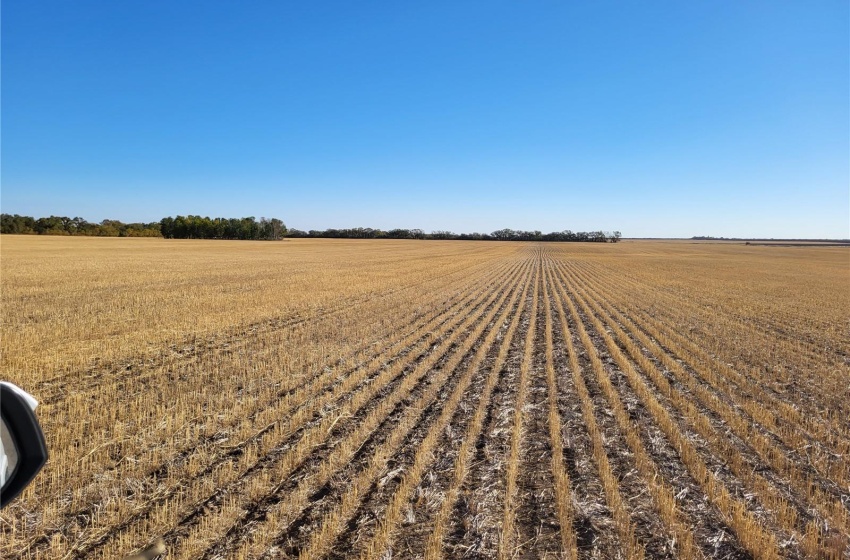 Rural Address, Perdue Rm No. 346, Saskatchewan S0K 3G0, ,Farm,For Sale,Kinley 1,031 acres Grain Farmland,Rural Address,SK989132