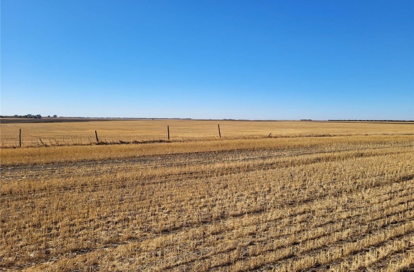 Rural Address, Perdue Rm No. 346, Saskatchewan S0K 3G0, ,Farm,For Sale,Kinley 1,031 acres Grain Farmland,Rural Address,SK989132