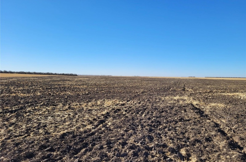 Rural Address, Perdue Rm No. 346, Saskatchewan S0K 3G0, ,Farm,For Sale,Kinley 1,031 acres Grain Farmland,Rural Address,SK989132